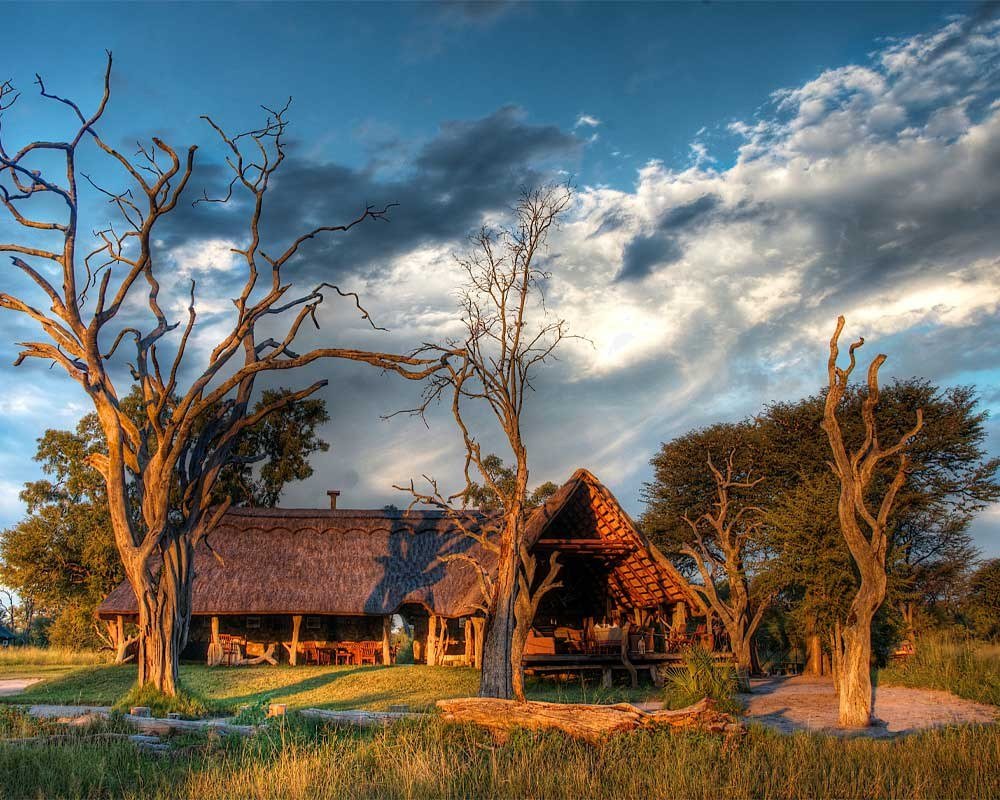 Bomani Tented Lodge's thatched main building stands among dead trees under a big Hwange sky