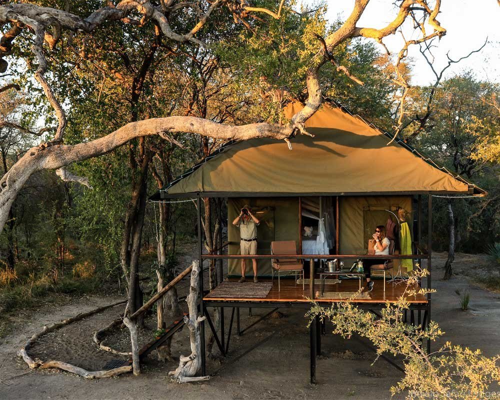 A guest tent at Bomani Tented Lodge is raised on a wooden deck under spreading trees