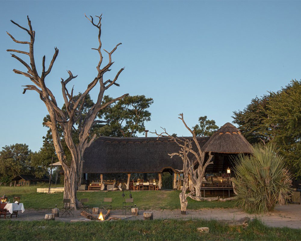 Bomani Tented Lodge's main building glows at dusk beneath the dead trees
