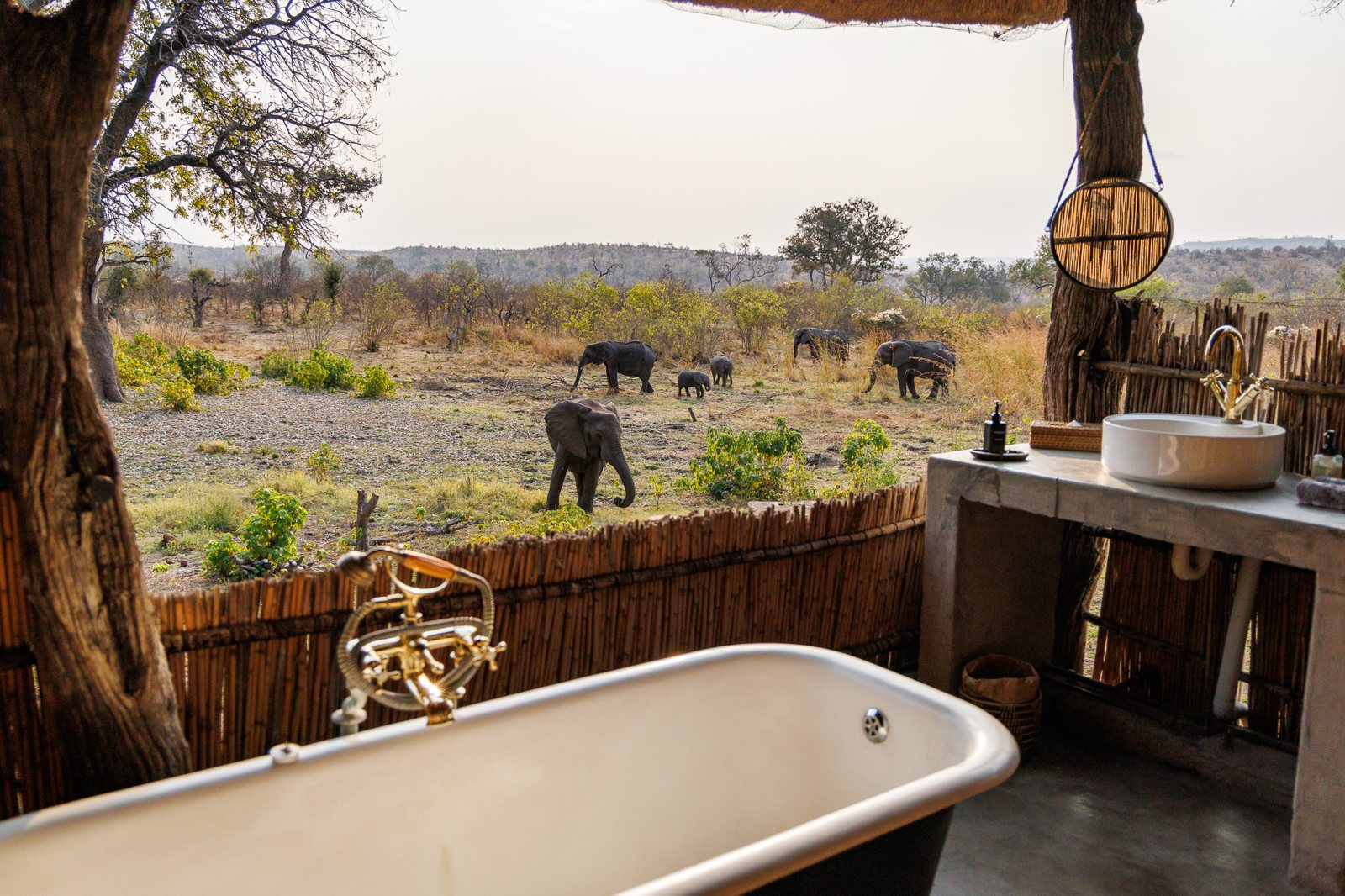A bathtub looking out over the bush, with elephants in the distance