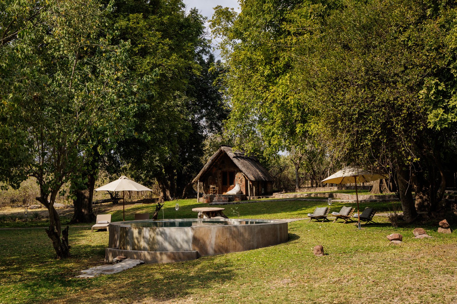 The pool and lawn under the trees at Bumbusi