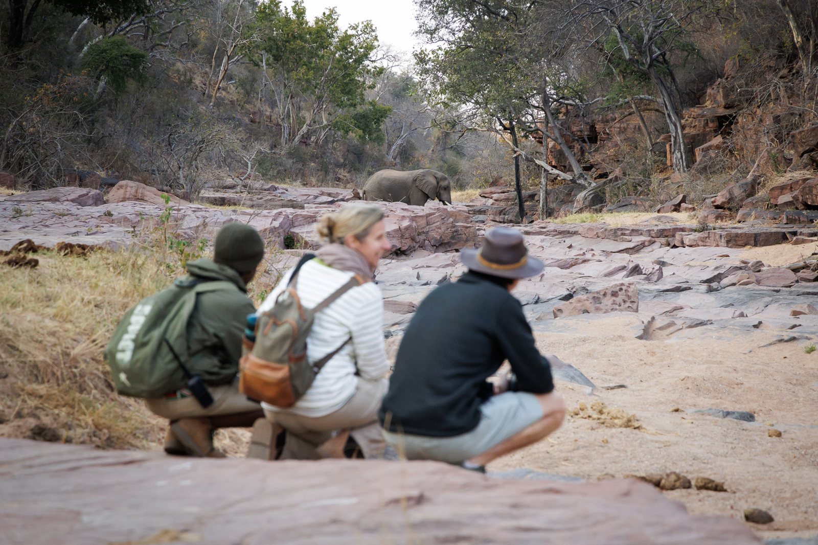 A guide and two guests crouched on the rocks, watching an elephant
