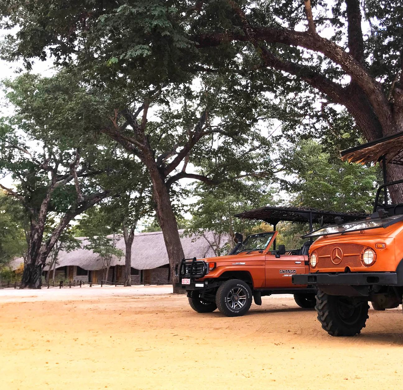 Two orange game-drive vehicles park under the trees at Gwango Heritage Resort
