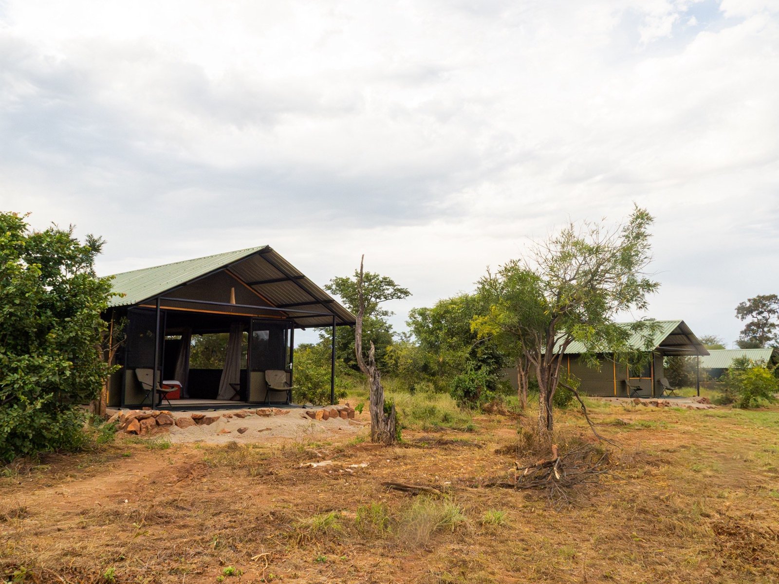A guest room at Hwange Bush Camp has a green roof among scattered trees