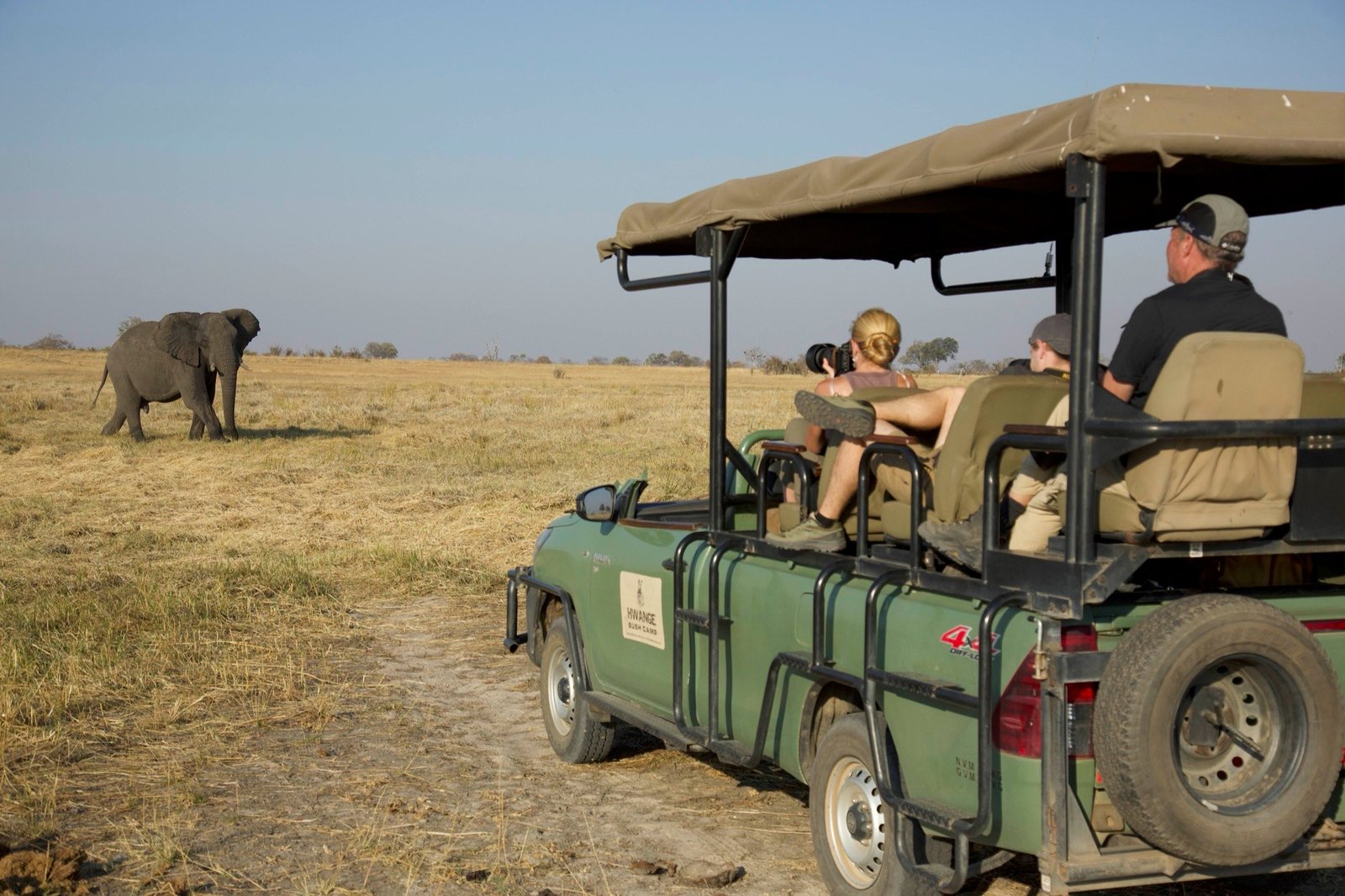 Guests from Hwange Bush Camp watch an elephant from an open game vehicle on the plain