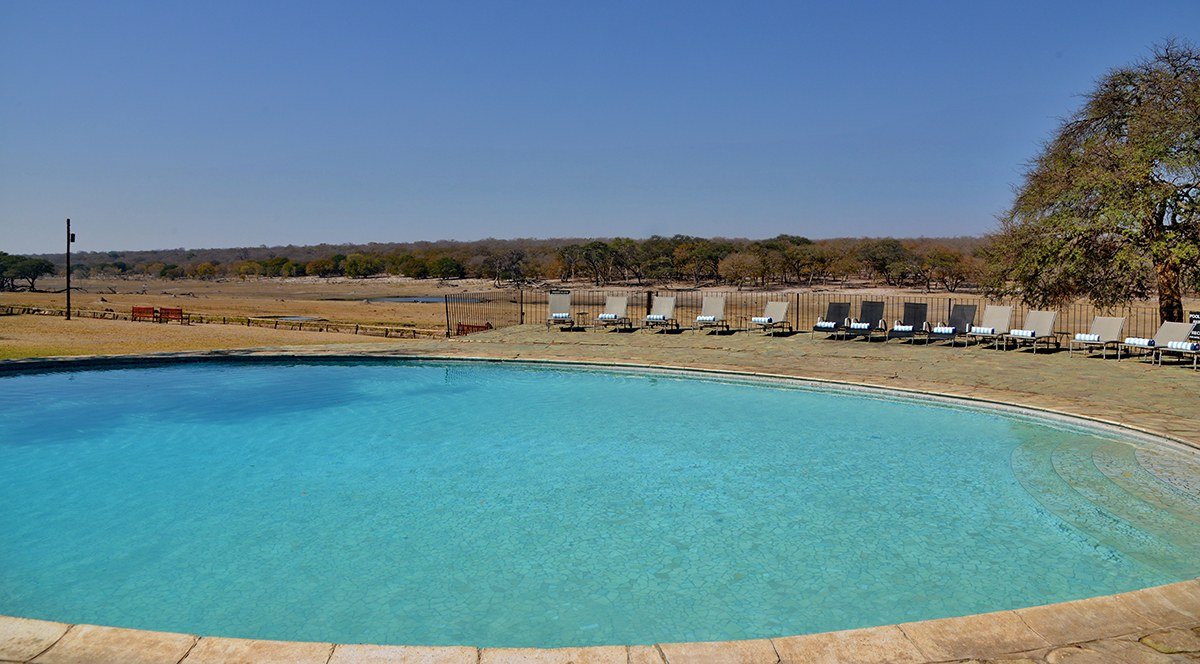 The swimming pool and loungers at Hwange Safari Lodge look out over the open plain