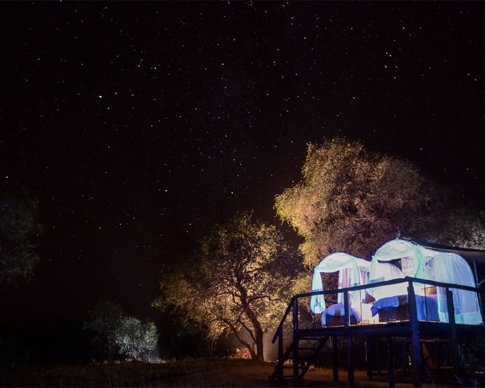 A raised tent at Jozibanini Camp glows under a starry night sky