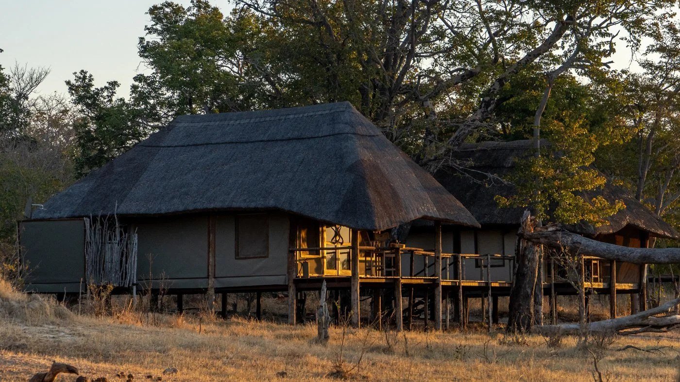 A thatched chalet at Khulu Bush Camp is raised on a wooden deck among the trees