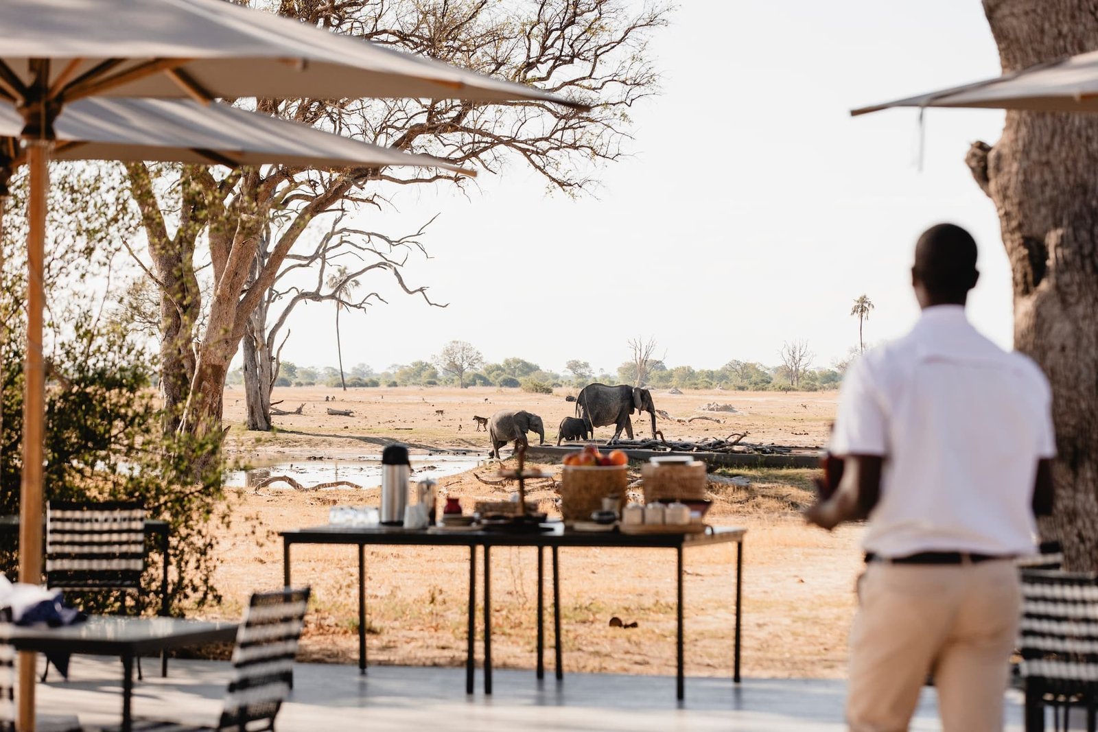 Breakfast is laid out at the edge of the pan at Wilderness Linkwasha as elephants pass