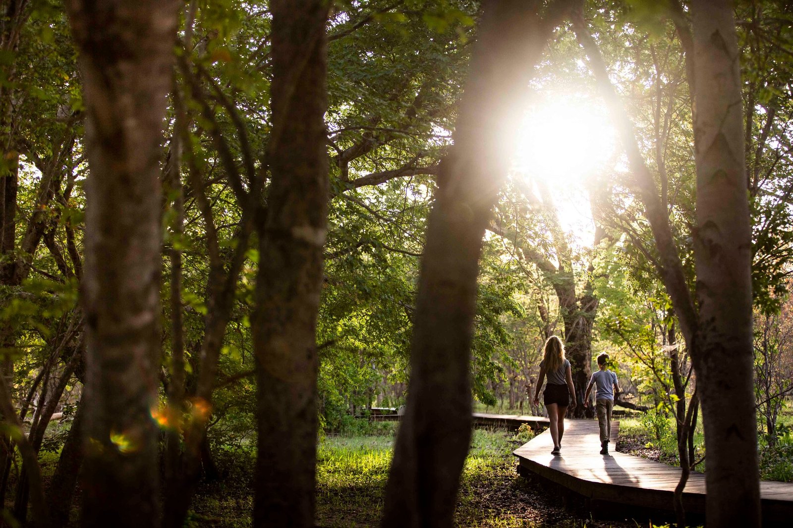 Guests walk a raised boardwalk through the trees at Wilderness Little Makalolo