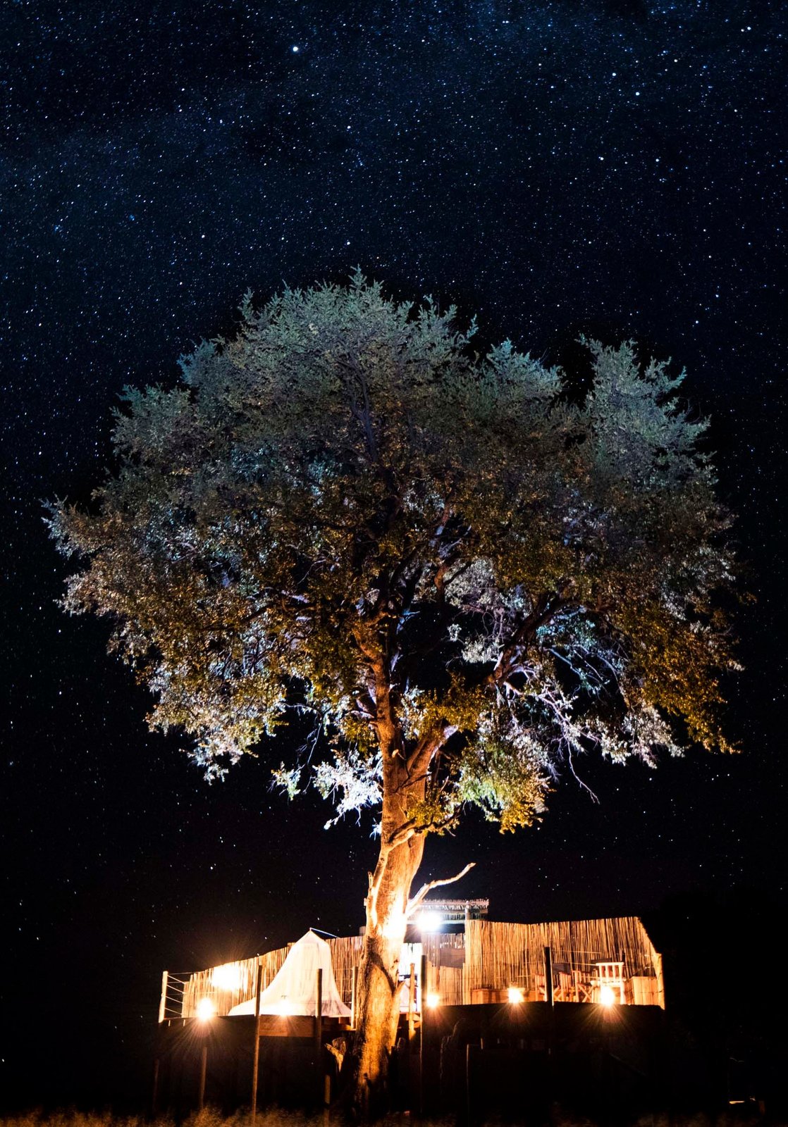 Wilderness Little Makalolo's star bed is lit beneath a large tree under a starry sky
