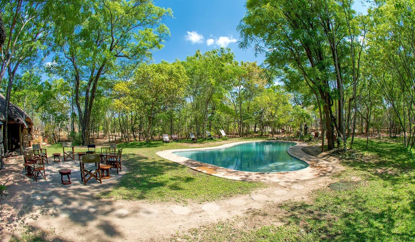 Miombo Safari Camp's swimming pool and lawn sit among tall miombo trees in Hwange