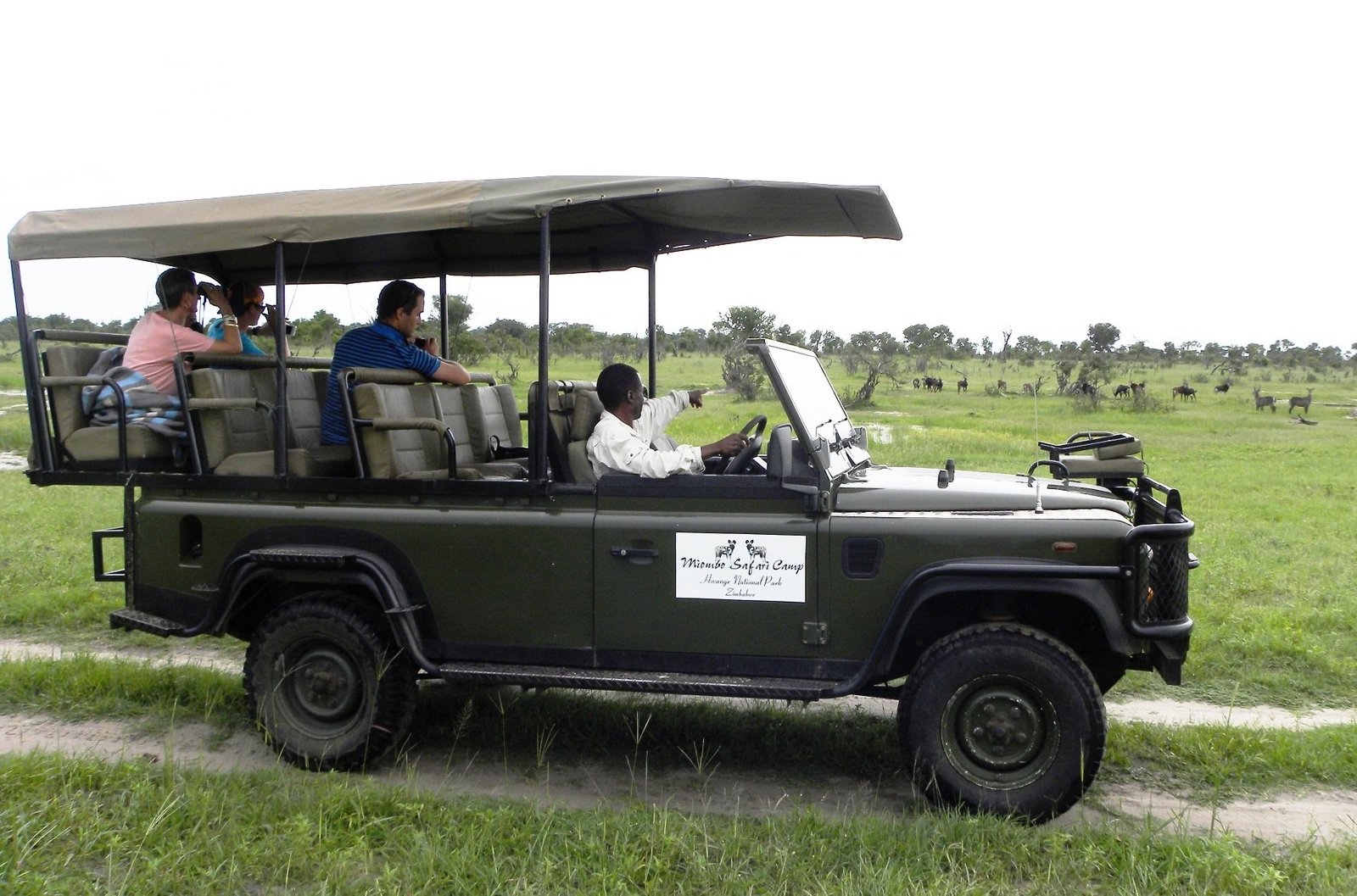 Guests ride in Miombo Safari Camp's open Land Rover across a green grassy plain