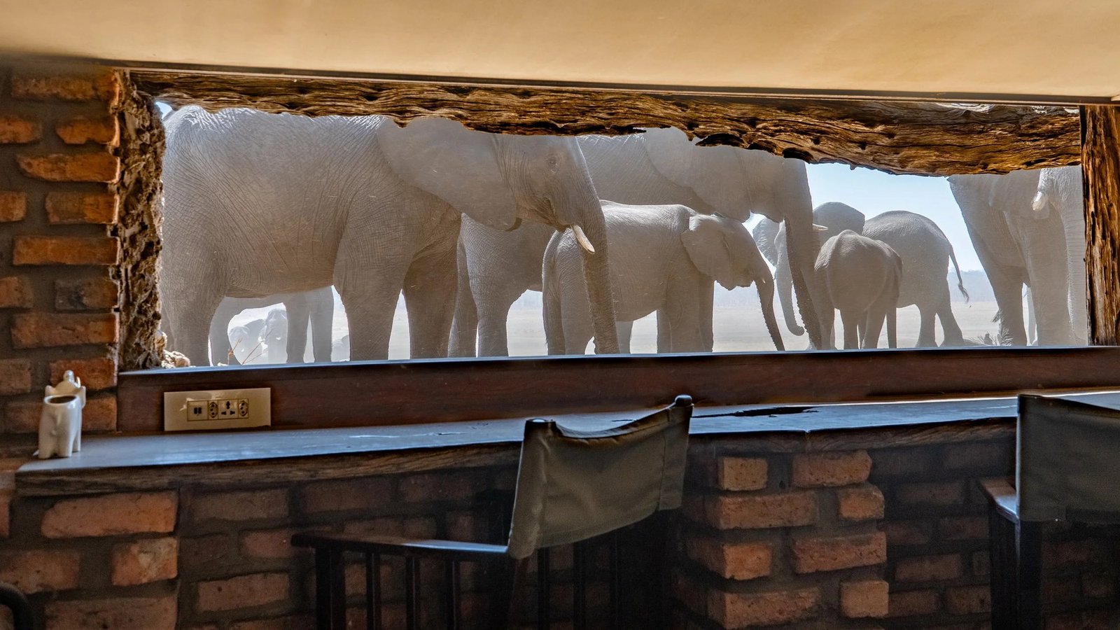 At Sable Valley Lodge's underground hide, elephants appear at eye level through the opening