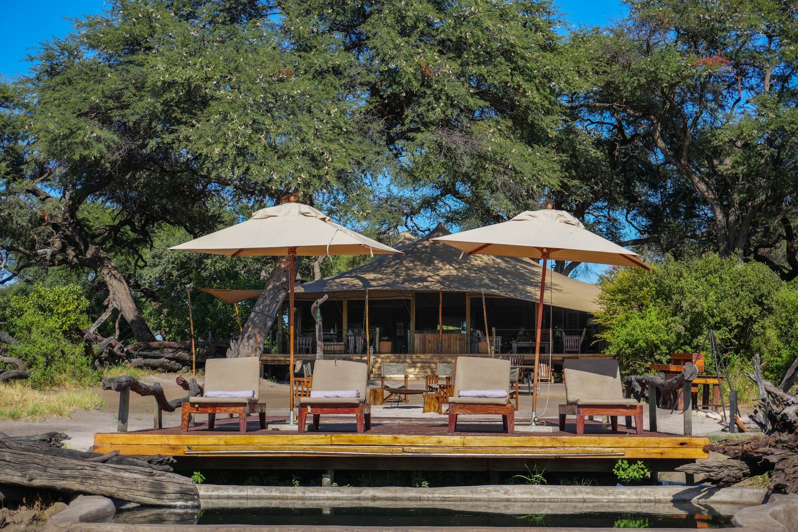 Somalisa Expeditions' main tent and pool deck sit under shade umbrellas among big trees in Hwange