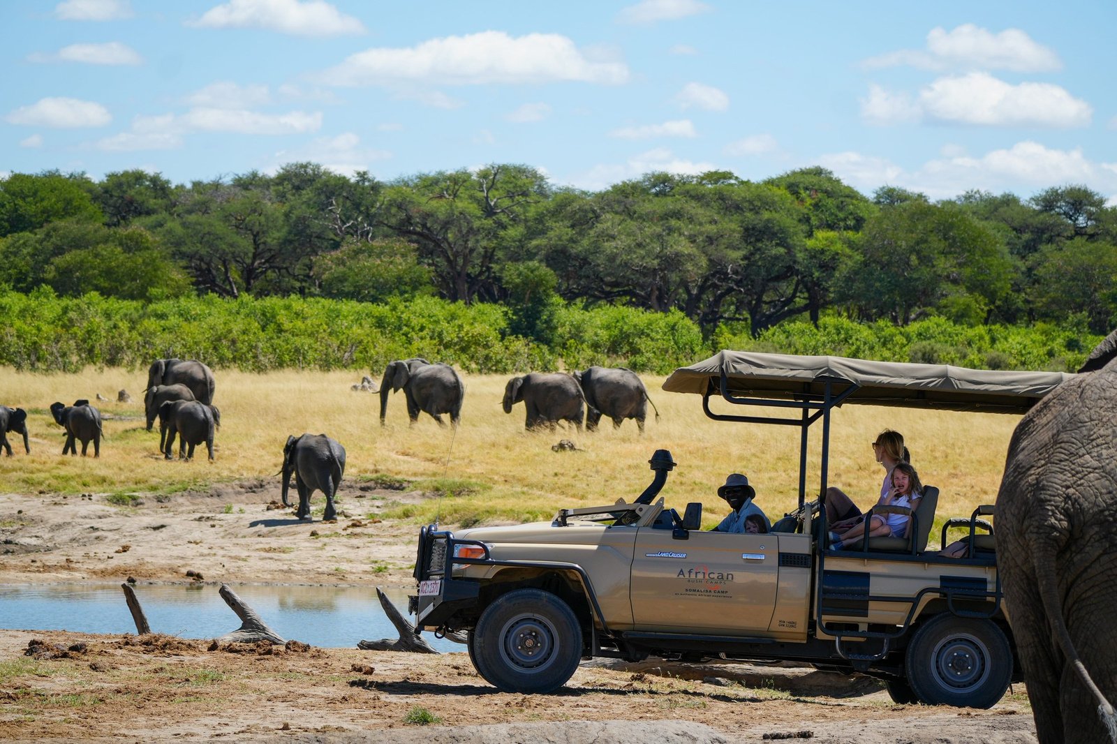 A game vehicle parks among elephants at a waterhole near Somalisa Expeditions