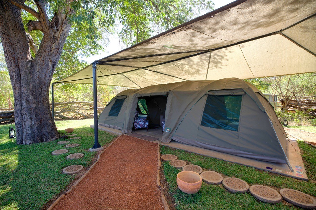 A dome tent at The Siding sits under a shade canopy beside a large tree