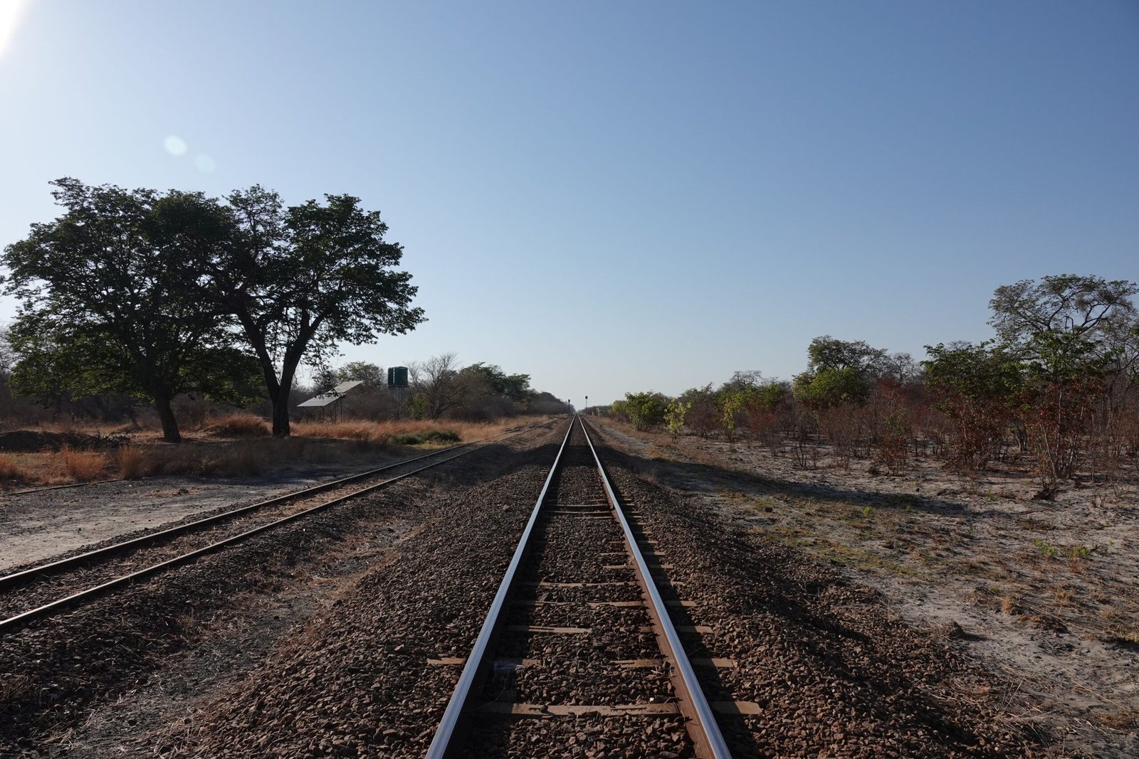 A railway line runs straight past The Siding into the bush