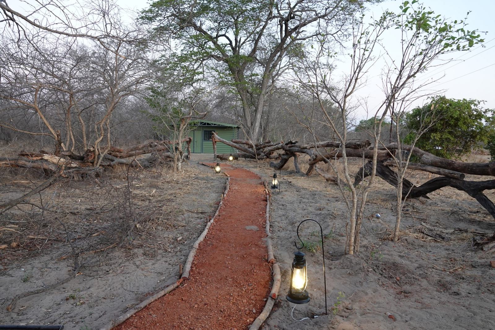 A lantern-lit path at The Siding leads through the bush to a small green building