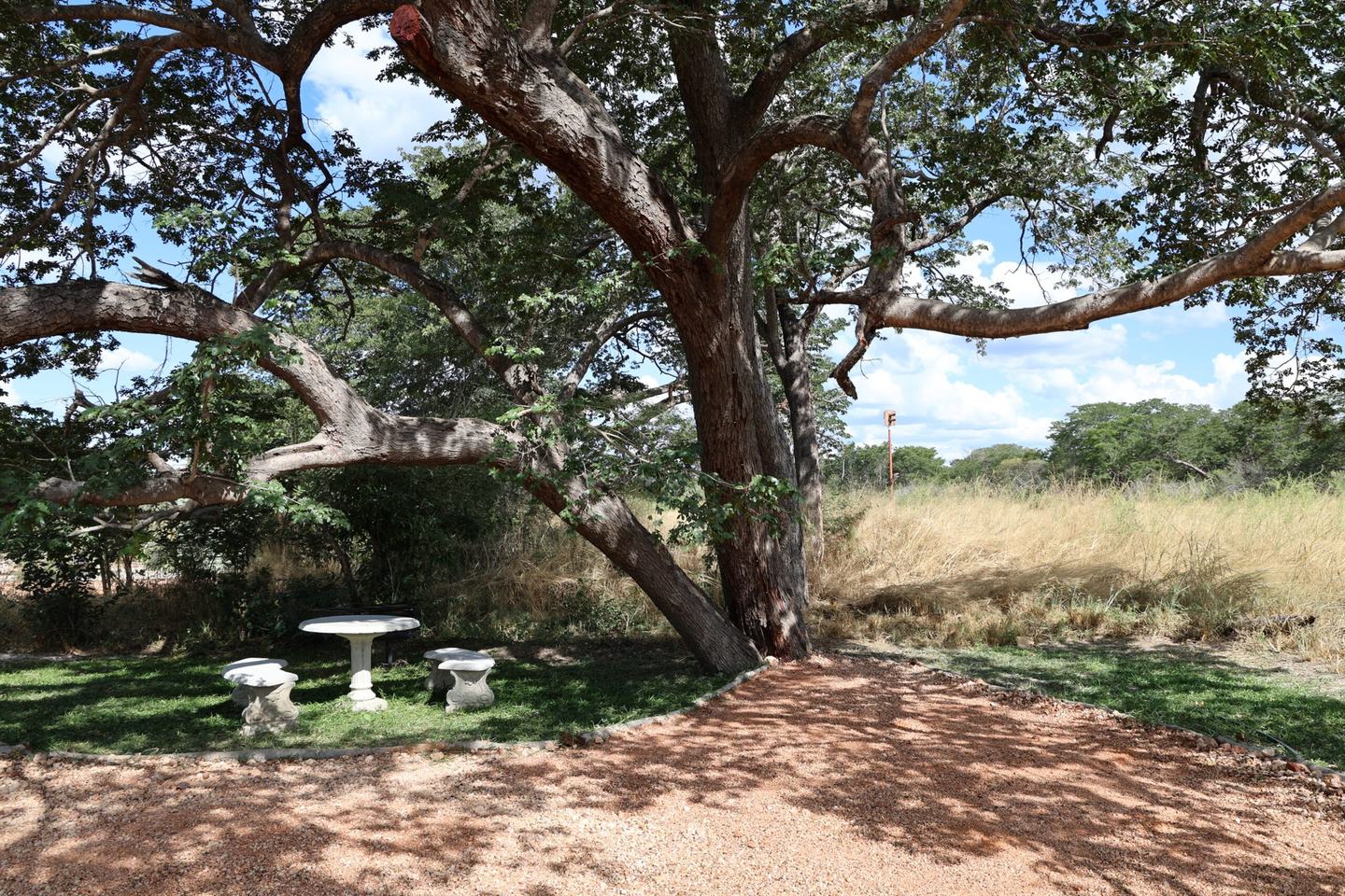 The Track Shack's campsite in Hwange sits under a tree, with a stone table and benches