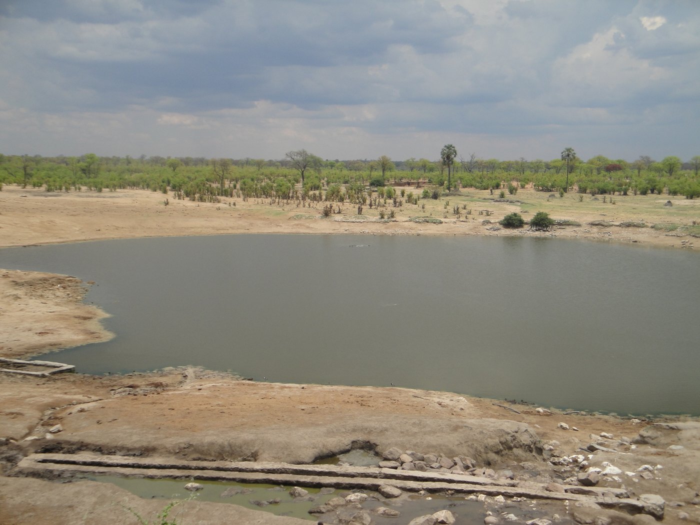 Masuma Dam in Hwange National Park, beside the exclusive picnic site and its game hide